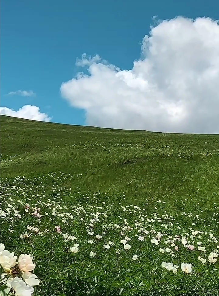 李风贵