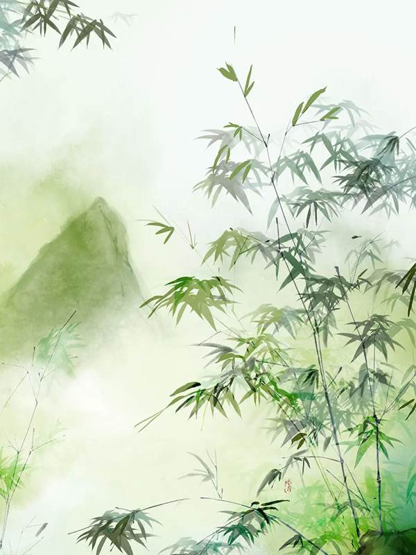父亲张维圣